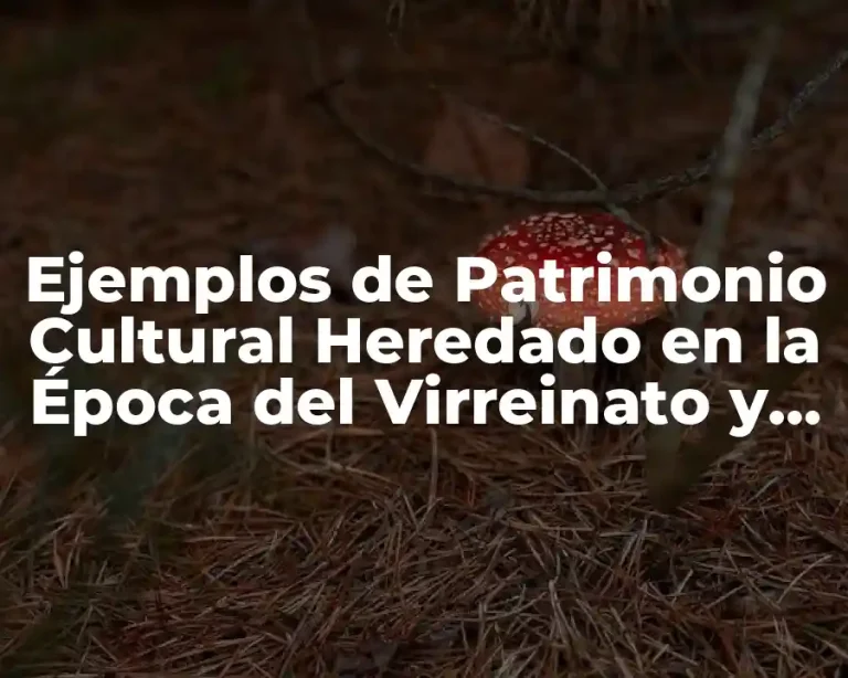 Ejemplos de Patrimonio Cultural Heredado en la Época del Virreinato y Significado
