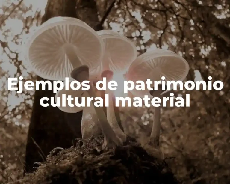 Ejemplos de patrimonio cultural material