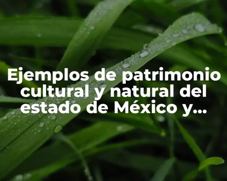 Ejemplos de patrimonio cultural y natural del estado de México y Significado