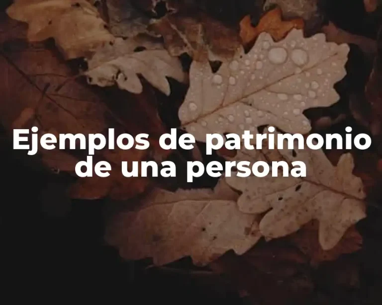 Ejemplos de patrimonio de una persona