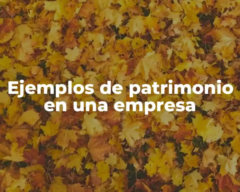 Ejemplos de patrimonio en una empresa
