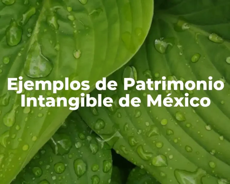 Ejemplos de Patrimonio Intangible de México