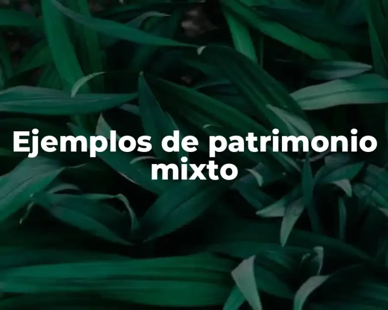 Ejemplos de patrimonio mixto