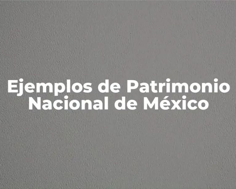 Ejemplos de Patrimonio Nacional de México