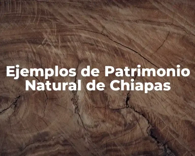 Ejemplos de Patrimonio Natural de Chiapas