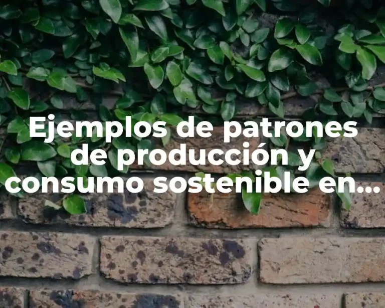 Ejemplos de patrones de producción y consumo sostenible en Colombia