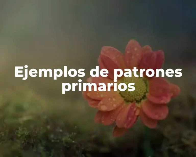 Ejemplos de patrones primarios