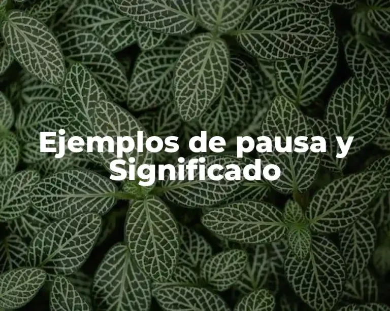 Ejemplos de pausa y Significado