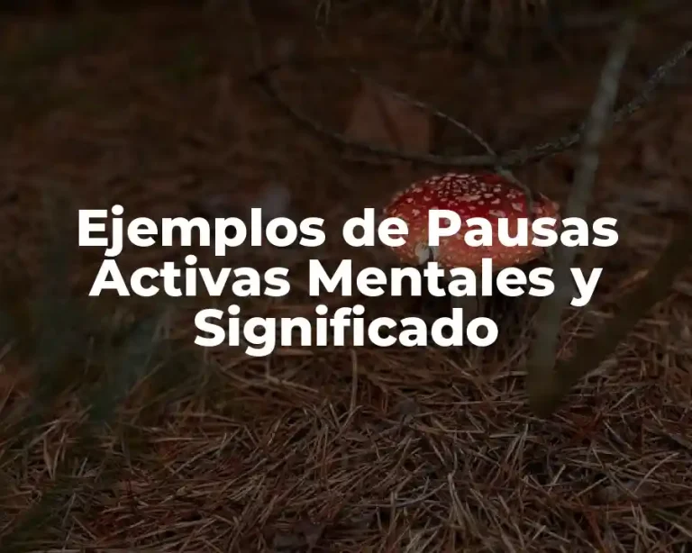 Ejemplos de Pausas Activas Mentales y Significado