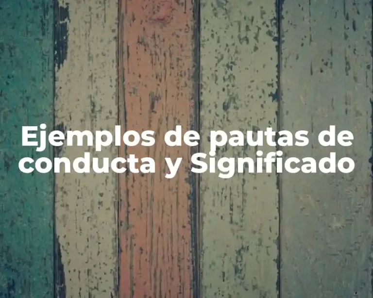 Ejemplos de pautas de conducta y Significado