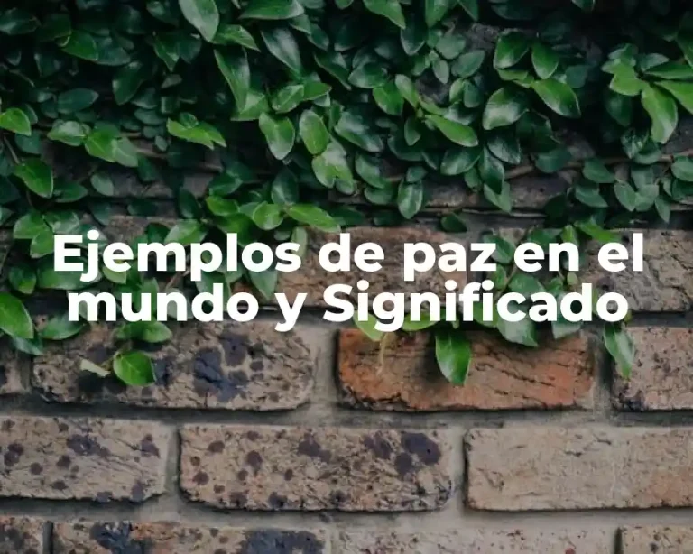 Ejemplos de paz en el mundo y Significado
