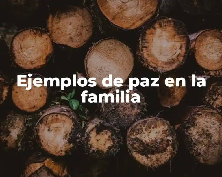 Ejemplos de paz en la familia