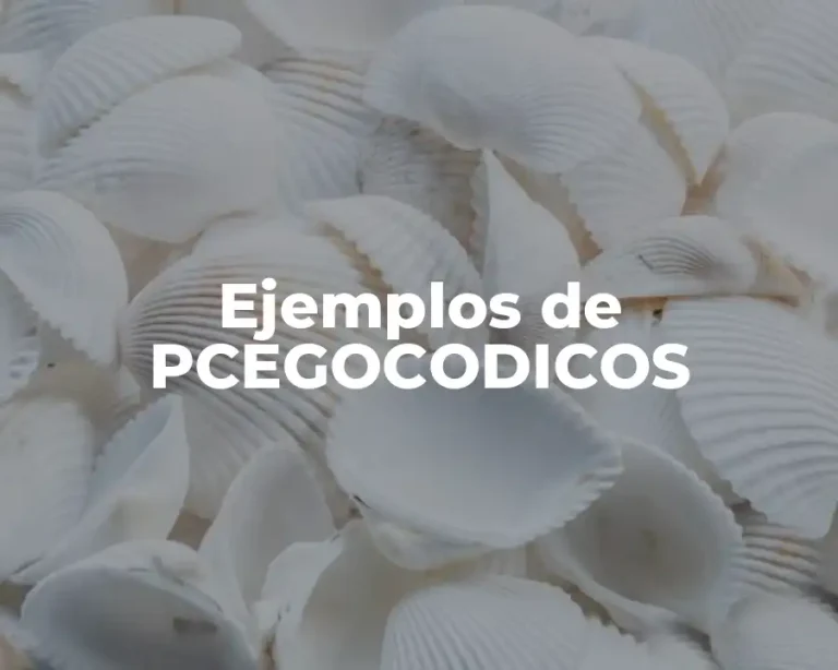 Ejemplos de PCEGOCODICOS