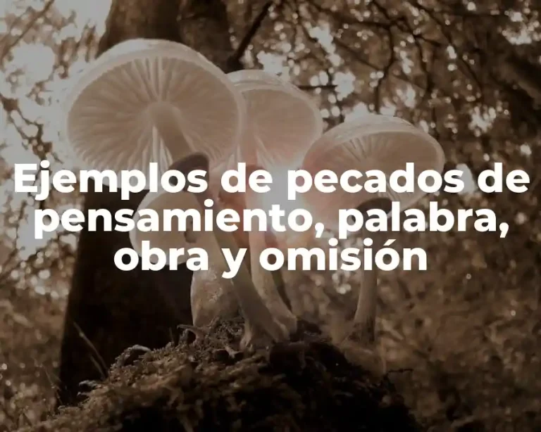 Ejemplos de pecados de pensamiento, palabra, obra y omisión