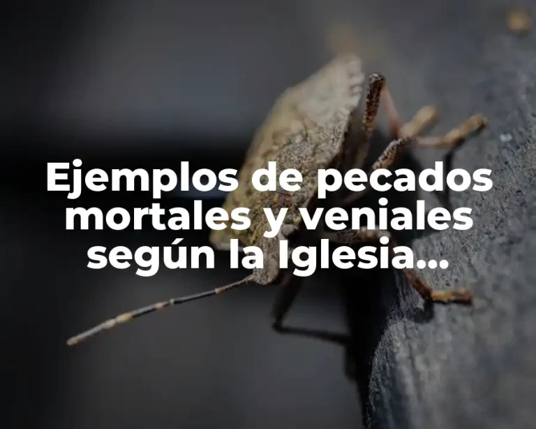 Ejemplos de pecados mortales y veniales según la Iglesia Católica y Significado