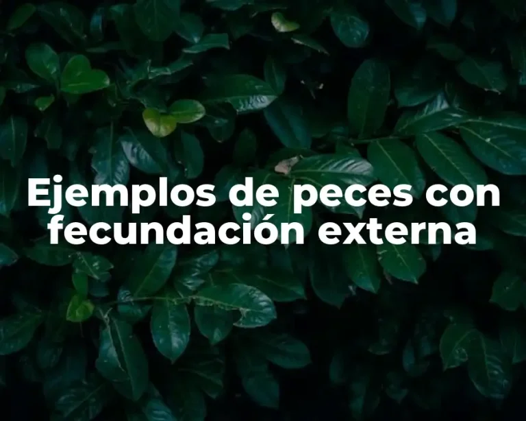 Ejemplos de peces con fecundación externa