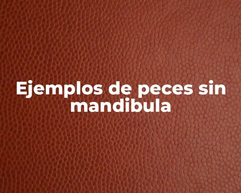 Ejemplos de peces sin mandibula