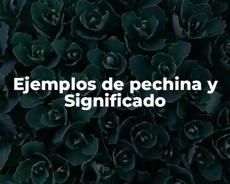 Ejemplos de pechina y Significado