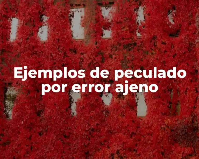 Ejemplos de peculado por error ajeno