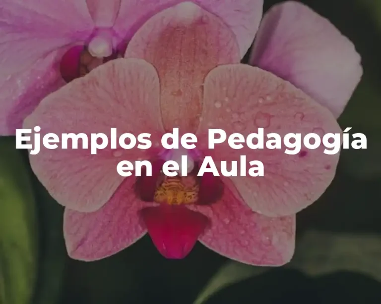 Ejemplos de Pedagogía en el Aula