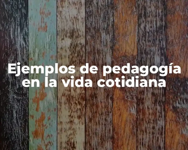 Ejemplos de pedagogía en la vida cotidiana