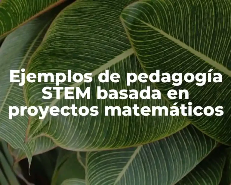 Ejemplos de pedagogía STEM basada en proyectos matemáticos