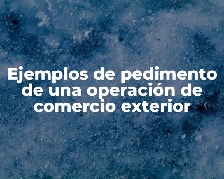 Ejemplos de pedimento de una operación de comercio exterior