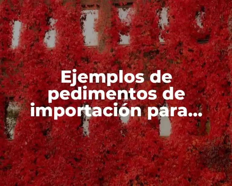 Ejemplos de pedimentos de importación para camionetas 1990 en aduanas