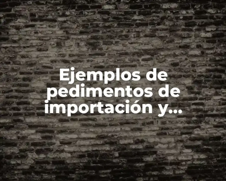 Ejemplos de pedimentos de importación y exportación