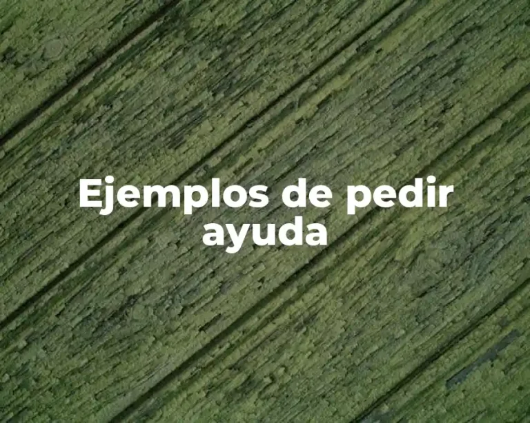 Ejemplos de pedir ayuda