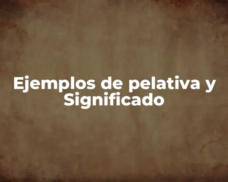 Ejemplos de pelativa y Significado