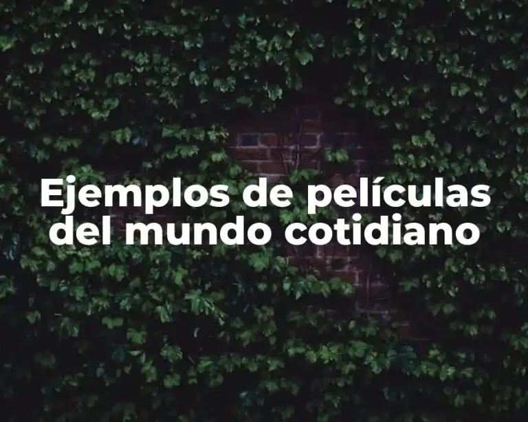Ejemplos de películas del mundo cotidiano