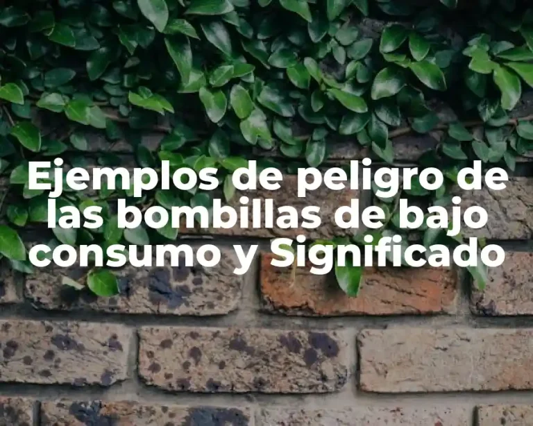 Ejemplos de peligro de las bombillas de bajo consumo y Significado