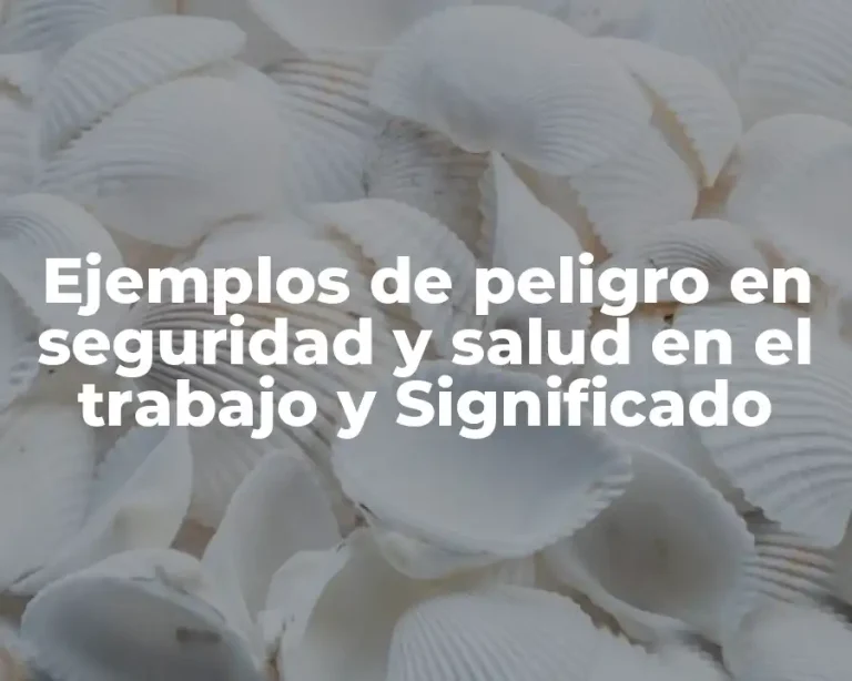 Ejemplos de peligro en seguridad y salud en el trabajo y Significado