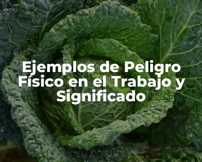 Ejemplos de Peligro Físico en el Trabajo y Significado