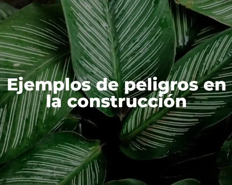 Ejemplos de peligros en la construcción