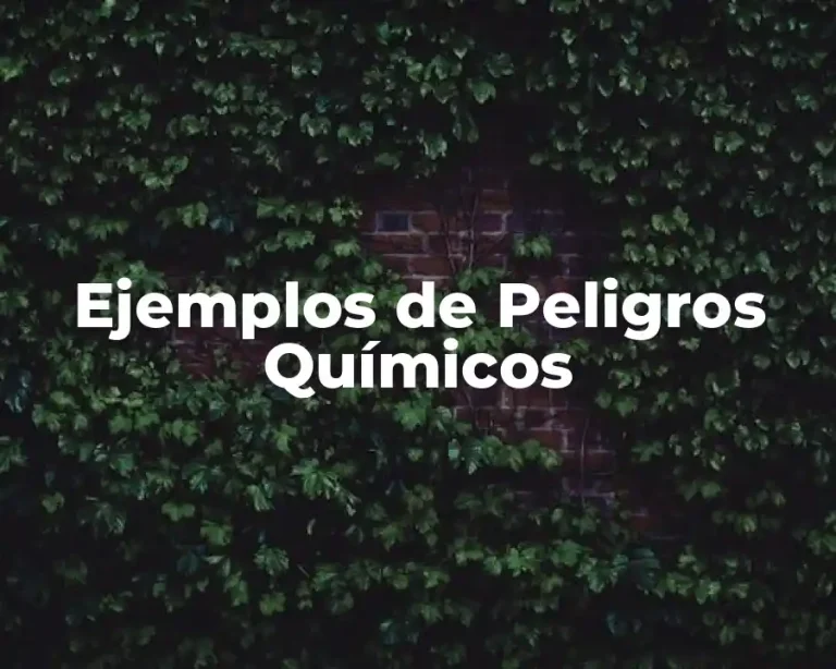Ejemplos de Peligros Químicos