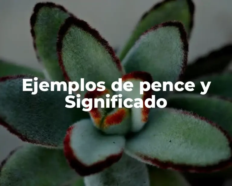 Ejemplos de pence y Significado