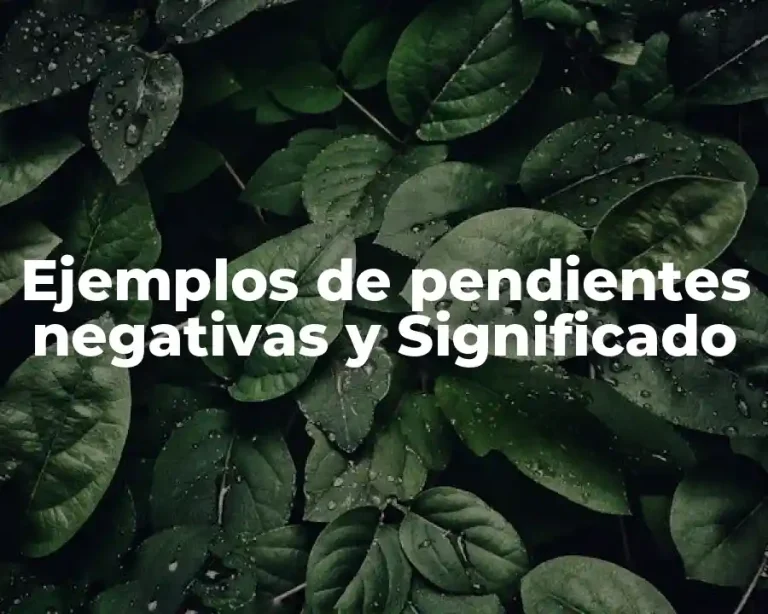 Ejemplos de pendientes negativas y Significado