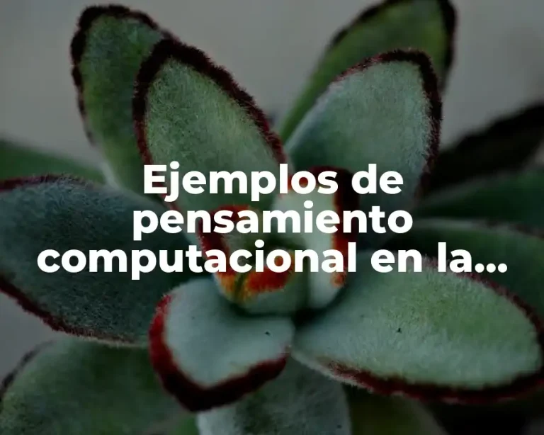 Ejemplos de pensamiento computacional en la vida cotidiana