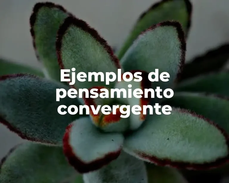 Ejemplos de pensamiento convergente