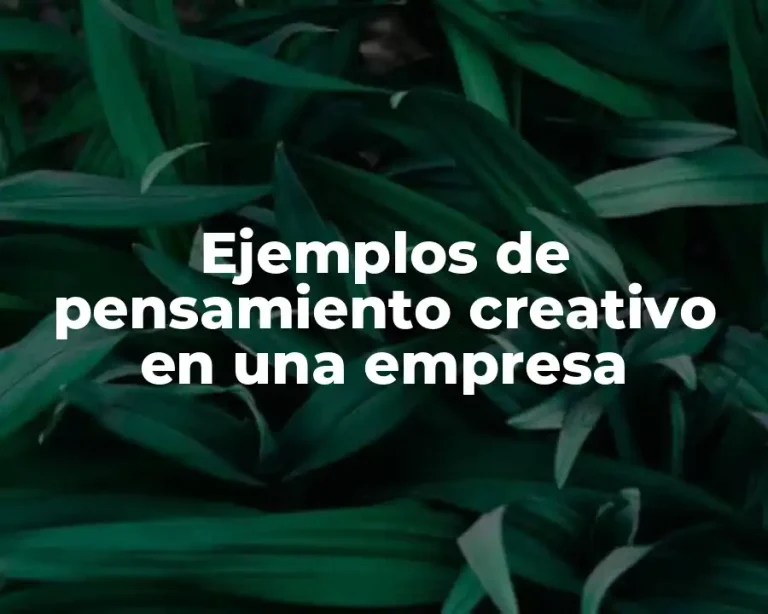 Ejemplos de pensamiento creativo en una empresa
