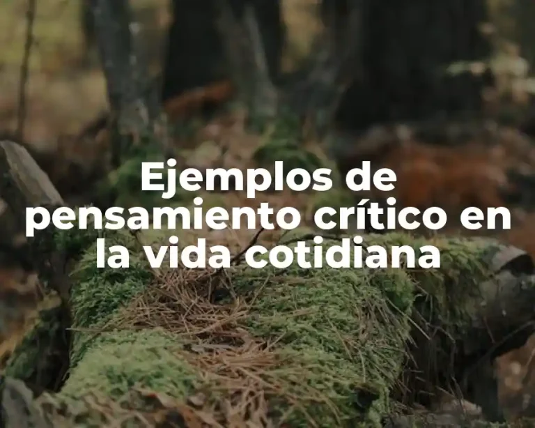 Ejemplos de pensamiento crítico en la vida cotidiana