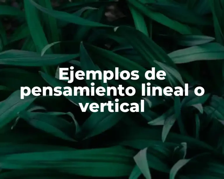 Ejemplos de pensamiento lineal o vertical