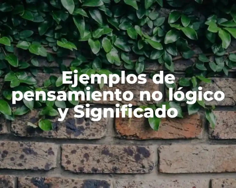 Ejemplos de pensamiento no lógico y Significado