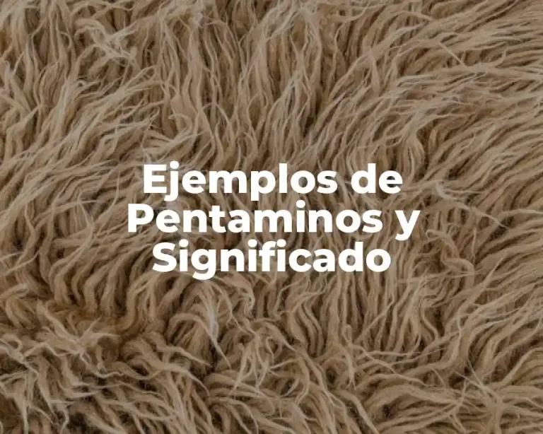 Ejemplos de Pentaminos y Significado