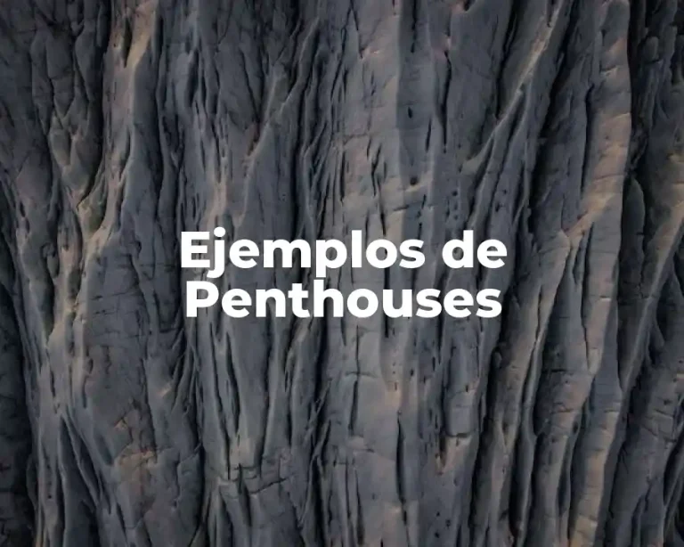 Ejemplos de Penthouses