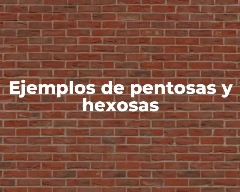 Ejemplos de pentosas y hexosas