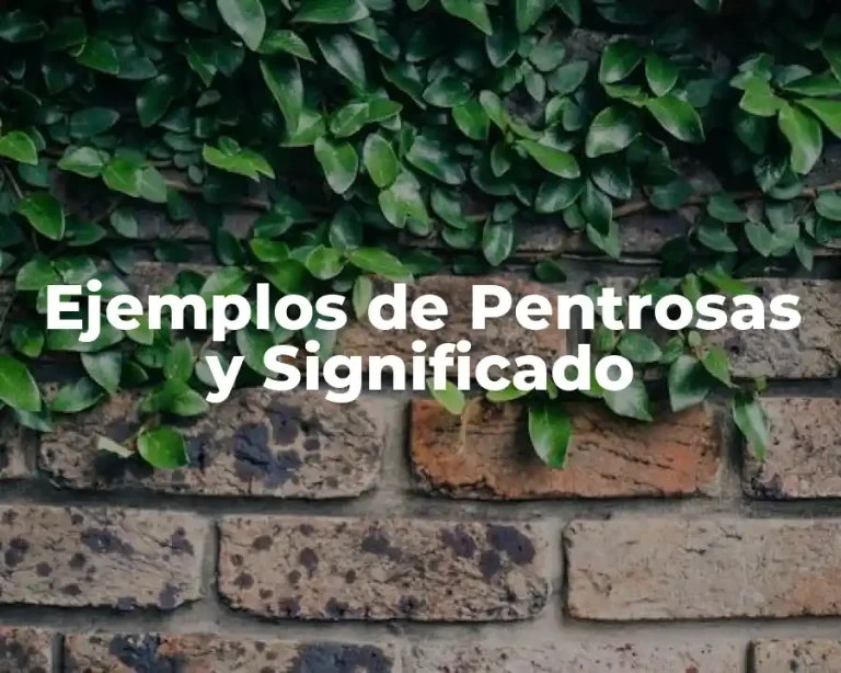 Ejemplos de Pentrosas y Significado