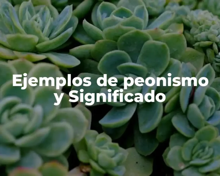 Ejemplos de peonismo y Significado